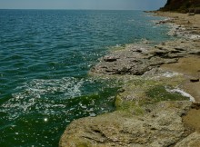 Поселения каменного века у хутора Рожок