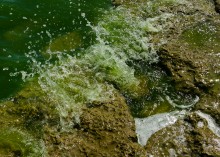 Поселения каменного века у хутора Рожок