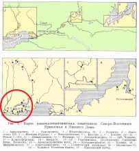 Поселения каменного века у хутора Рожок