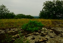 Гора Городище