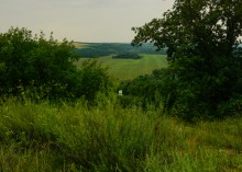 Гора Городище