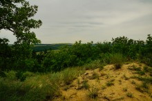 Гора Городище