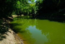 Миус в августе у села Крынка