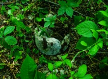 Остатки немецких дотов на Миус-фронте