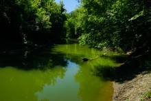 Миус в августе у села Крынка