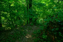 Остатки немецких дотов на Миус-фронте