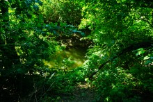 Остатки немецких дотов на Миус-фронте