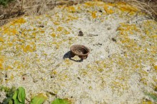 Подземный штаб на Миус-фронте