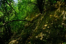 Подземный штаб на Миус-фронте