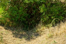 Подземный штаб на Миус-фронте