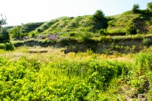 Древние поселения на Дону у станицы Раздорской и на острове Поречный