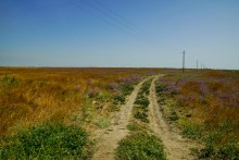 Беглицкая коса