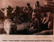 Беглицкая коса