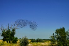 Беглицкая коса