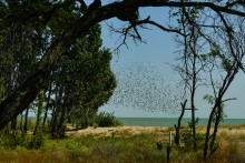 Беглицкая коса