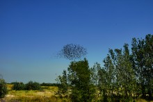 Беглицкая коса