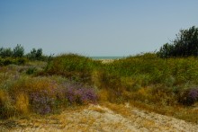 Беглицкая коса