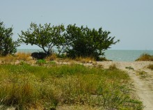 Беглицкая коса