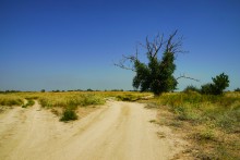 Беглицкая коса