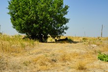 Беглицкая коса