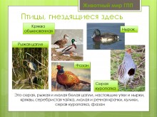 Беглицкая коса