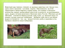 Беглицкая коса