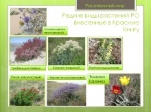 Беглицкая коса