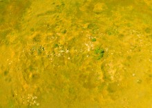 Гора, ростовские горы