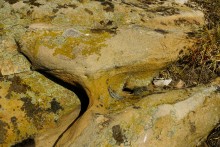 Гора, ростовские горы