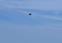 Горная страна на берегу Северского Донца у хутора Дядин.