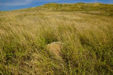 Гора, ростовские горы