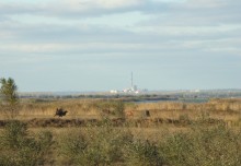 Верблюд и ТЭЦ-2