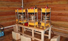 Подсолнечное масло и его история