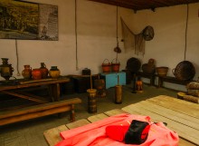 Подсолнечное масло и его история