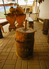 Подсолнечное масло и его история