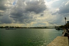 Дон цвета лягушки в обмороке