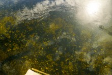 По следам Вещего Олега к хазарской крепости в Дивногорье