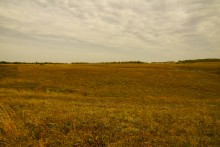 По следам Вещего Олега к хазарской крепости в Дивногорье