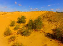 Большие Быковские Буруны