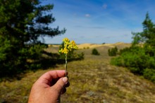 Большие Быковские Буруны
