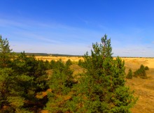 Большие Быковские Буруны