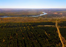 Осенний слет грибников в каменских лесах