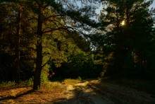 Осенний слет грибников в каменских лесах