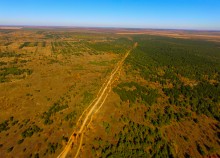 Осенний слет грибников в каменских лесах