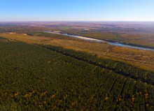 Осенний слет грибников в каменских лесах