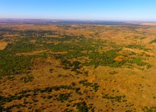 Осенний слет грибников в каменских лесах
