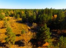 Осенний слет грибников в каменских лесах