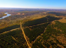 Осенний слет грибников в каменских лесах