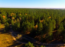 Осенний слет грибников в каменских лесах