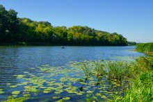 Дон у Вешенской